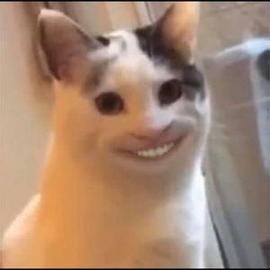 Meet your Posher, Kellen